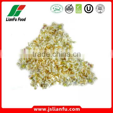 Dehydrated white onion 10x10mm dehydrated onion minced