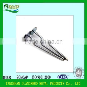 Hot-sale polished common nails/roofing nails/flat head nails