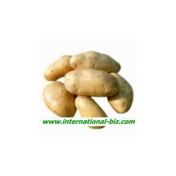 Natural Potato Protein powder