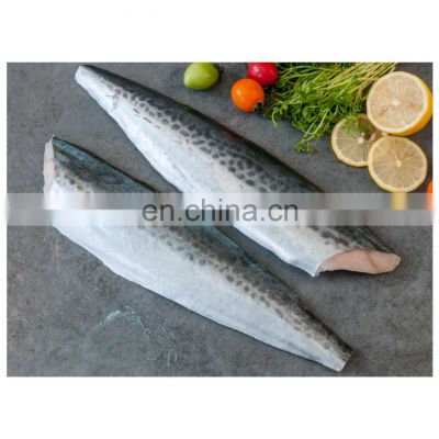IQF Spanish mackerel fish fillet boneless skin on