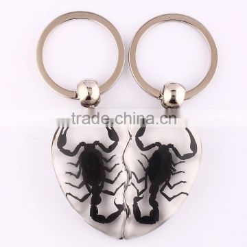 2016 new keychain with real insect