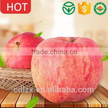 Best price fruit apple for sale