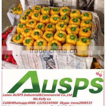 Fresh Bell Pepper yellow capsicum