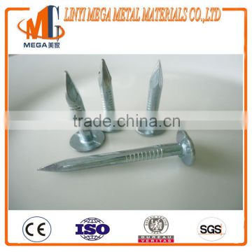 China nails factory wholesale roofing felt nails