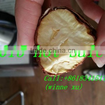 attractive in price and quality chestnut
