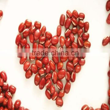 JSX New crop mongolia beans organic adzuki beans food grade red bean prices