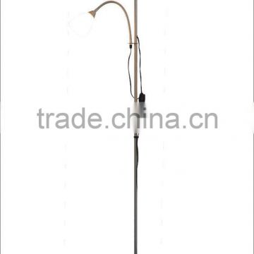 Stand lamp(TL2004)