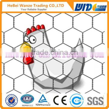 High quality cheap galvanized beat price poultry wire mesh (CHINA SUPPLIER)