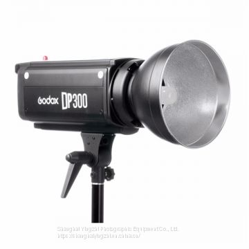 Godox DP300 Photography Studio Strobe Flash Light Power 110V/220V Light Lamp Head For Camera Studio