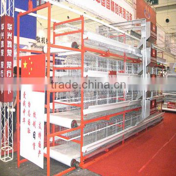 New design best quality automatic chicekn feeding system for broiler and breeder