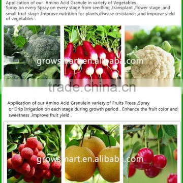 High content fertilizer compound amino acid granule