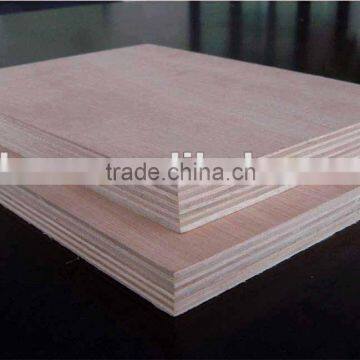 pollution-proof waterproof 19mm plywood for furniture