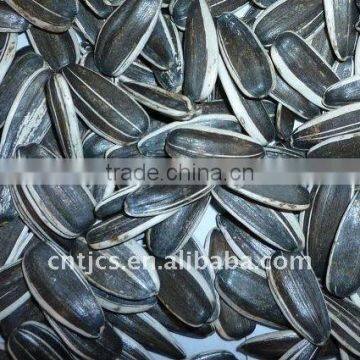 High Quality Sunflower seeds 5009,5135,20/64,22/64,24/64