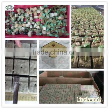Hydroponics Rockwool Cubes for Greenhouse soilless agriculture