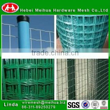 holland electric welded wire mesh(direct factory)