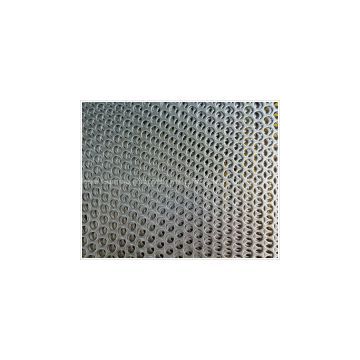perforated mesh/Perforated Metal Mesh