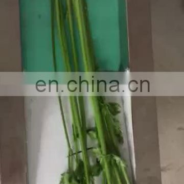 vegetable automatic cutting equipment / vegetable slicer machine / vegetable cutter for sale