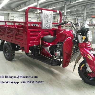 China Three Wheel Cabin Motorcycle for Sale 200 - 250W High-Power Electric Motorcycle Three Wheeled Dumper