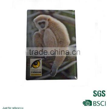 Monkey picture eco-friendly fridge magnet/full color printed coated paper magnet/High performance