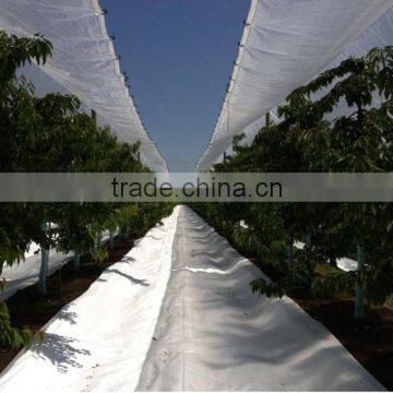 Supply 2016 plastic covers add UV polyethylene anti big rain/cherry cover and vine cover, greenhouse plastic film