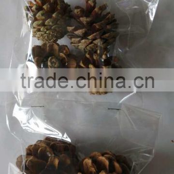 High quality natural pine cone for christmas decoration