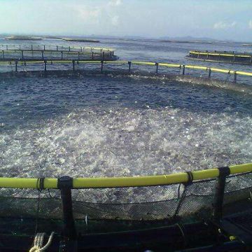 Wind And Wave Resistance Floating Net Cage Floating Aquaculture Fishing Cage