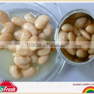 Wholesale china food bean canned bean broad canned