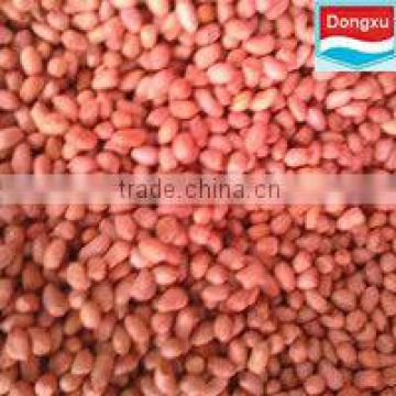 import export peanut
