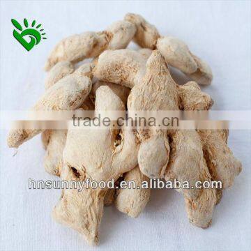 Good Quality & Low Price Dry Ginger Whole