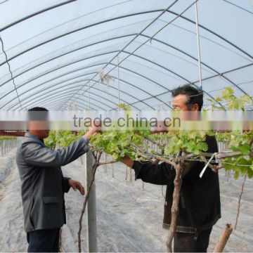 high quanlity greenhouse plastic film Low Tunnel Films Greenhouse Roofing