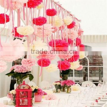 Promotion Wedding Decoration DIY Bridal Baby Shower Birthday Garland Decorative Tissue Paper Pom Poms Flowers Balls                        
                                                Quality Choice