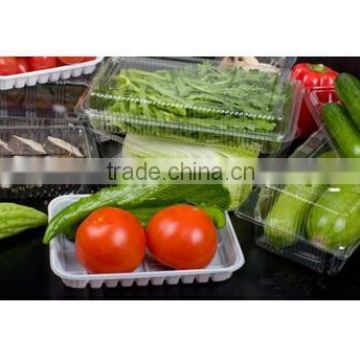 Different Sizes Disposable Plastic Fresh Packing Tray