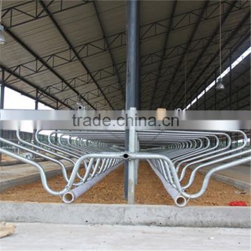 Double Row Type Cow Free Stall With Hot Galvanized Steel Pipe