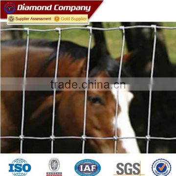 corrosion resistant high quality hot sale horse fence(Factory Price and ISO9001-2008)