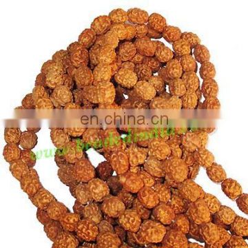 Rudraksha Beads String (mala) 3 Mukhi (three face), size: 11mm thickness