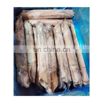 Frozen IQF frozen squid WR good quality for export