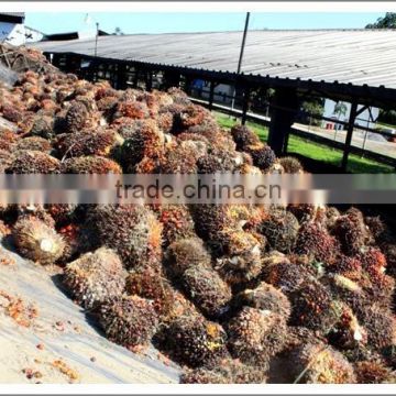 40-80TPDPalm oil processing machine,Palm oil production line, Crude Palm oil refinery and fractionation plant