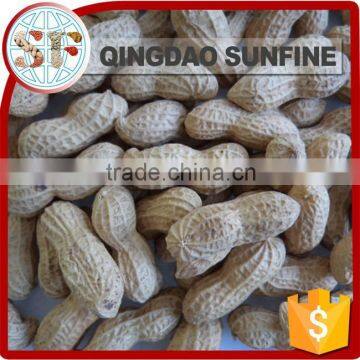 Import export peanuts in shell buyers