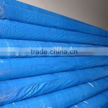 Blue PE all kinds plastic tarp roll