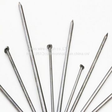25kg price Common Nail Iron Nails Wire Nails