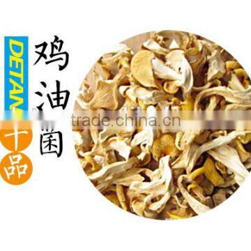 Natural Cultivated Dried Chanterelles Mushroom / Cantharellus Cibarius Wholesale Price