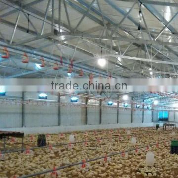 good quality live stock poultry chiken house