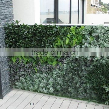 vertical garden green plants wall,green wall backdrop