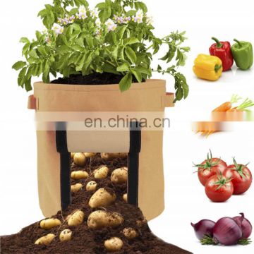 2020  wholesale felt Grow Pot Bags for potato vegetables