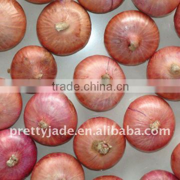 china fresh red onions