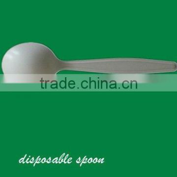 biodegradable disposable spoon
