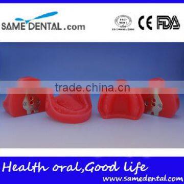 Dental functional edentulous jaws model DEA-30