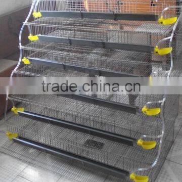 Low Price Plastic Chicken Wire Mesh for Cages - China Low Price