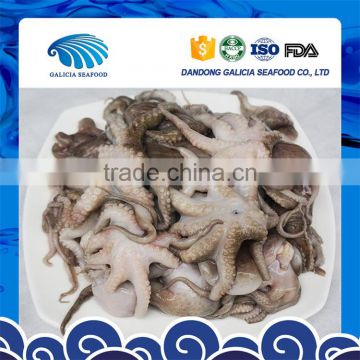 frozen IQF BQF baby octopus flower or block with adequate supply
