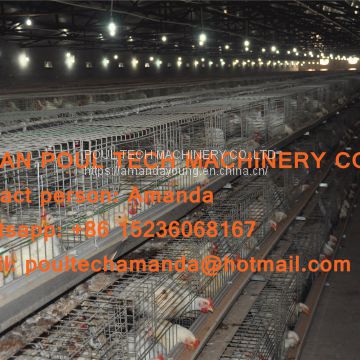 Selling Poultry Farming Equipment Broiler Cage & Broiler Coop & Meat Chicken Cage in Chicken Shed in Russia
